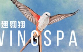 展翅翱翔/WINGSPAN（更新大洋洲篇DLC v04.01.2024）