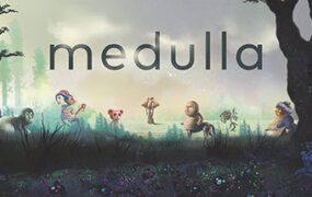 Medulla（v5685781）